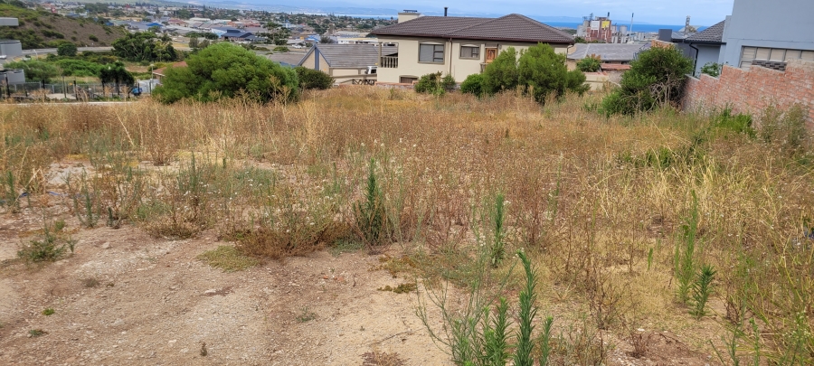 0 Bedroom Property for Sale in Island View Western Cape